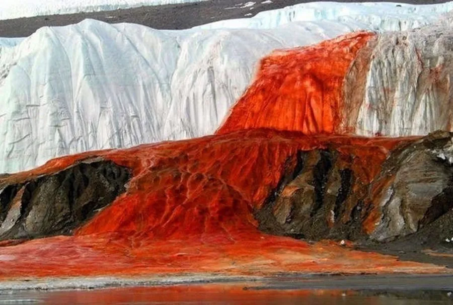 Why the Falls in McMurdo Valleys, Antarctica have name Blood Falls?